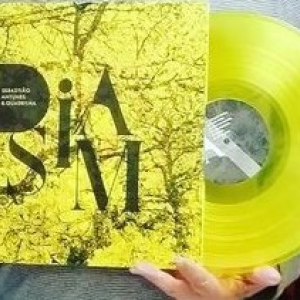 SEBASTIÃO ANTUNES & QUADRILHA | Dia Sim | VINYL